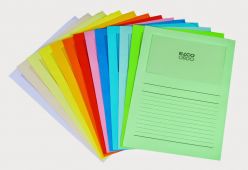 CARTELLA IN CARTONE A4 CON FINESTRA ELCO ORDO