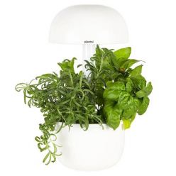 Pametni vrt Plantui 3e Smart Garden, bel - SG3e-W